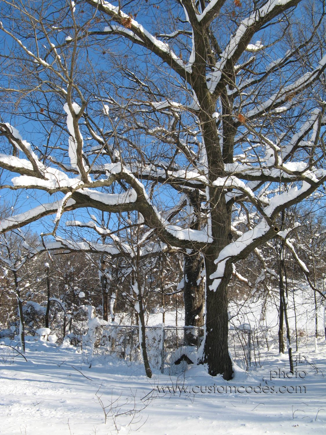 091210OaksHoldingSnow