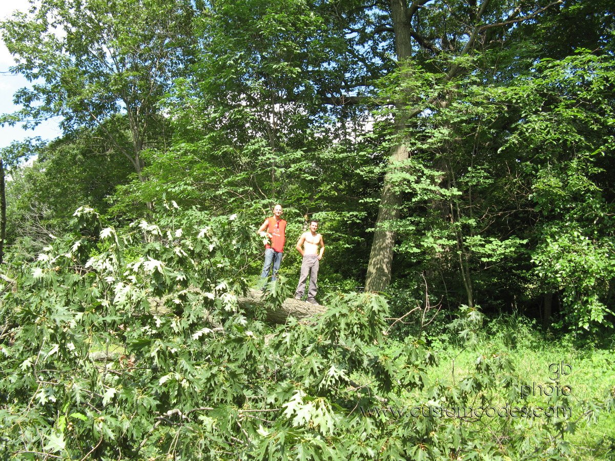 20100626_MattJonFromTreeTop