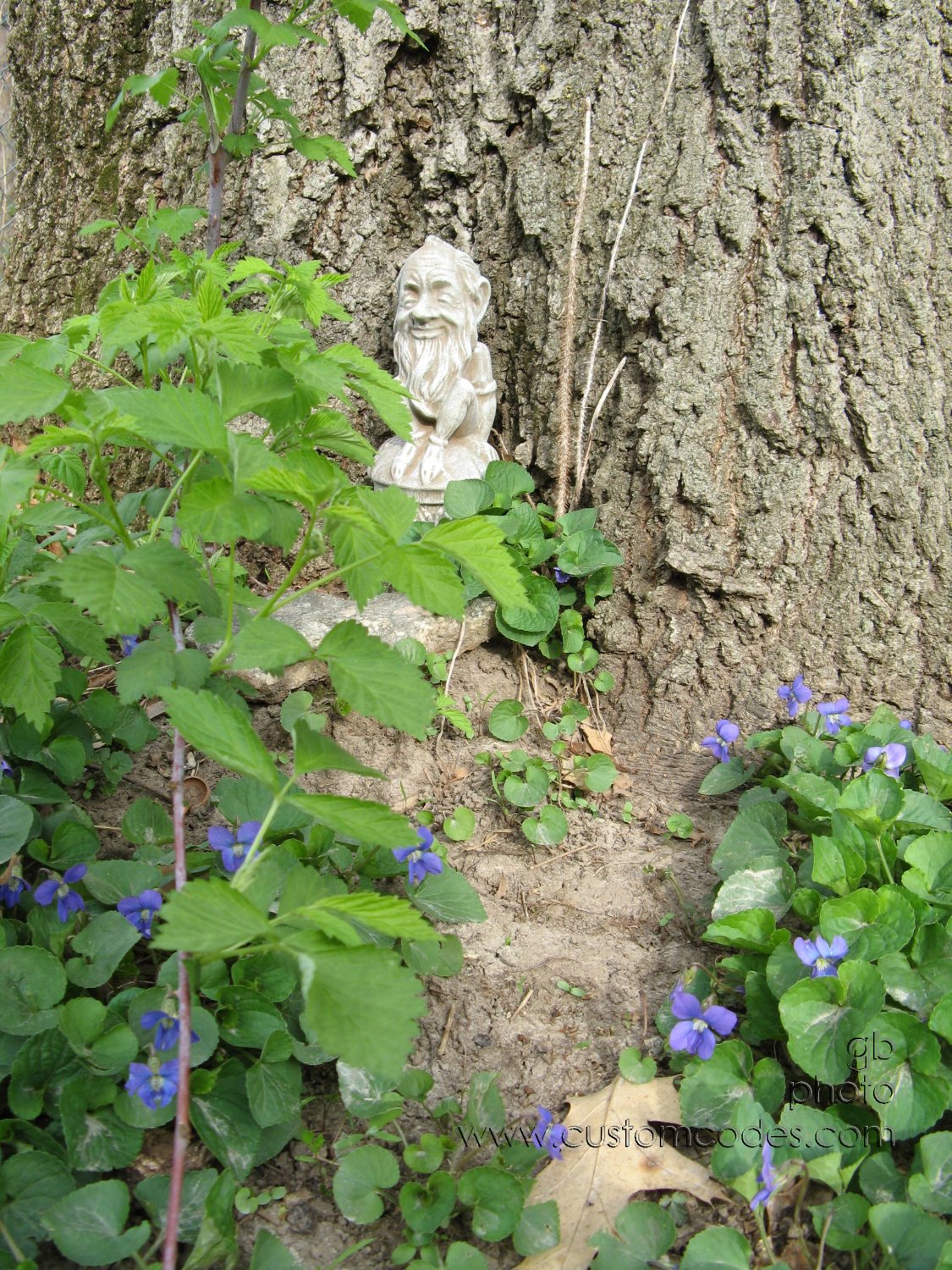 20100419_OakGnome