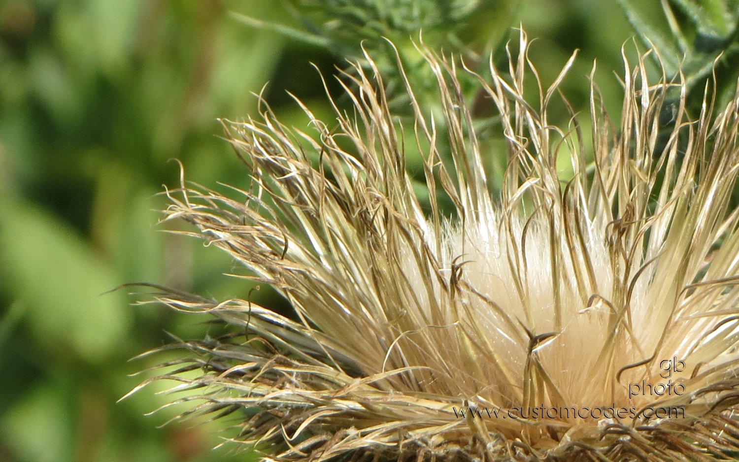 SoftOnTheInside_20130809