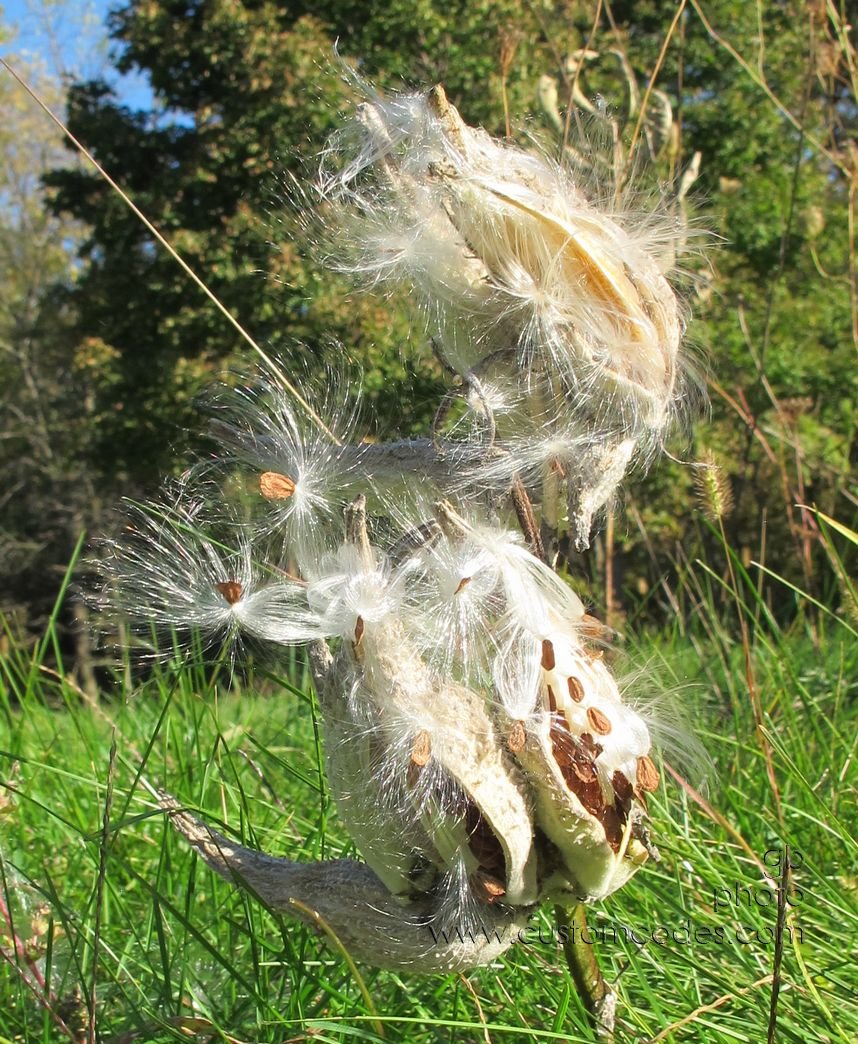 Ready2FlyAway-_20151011