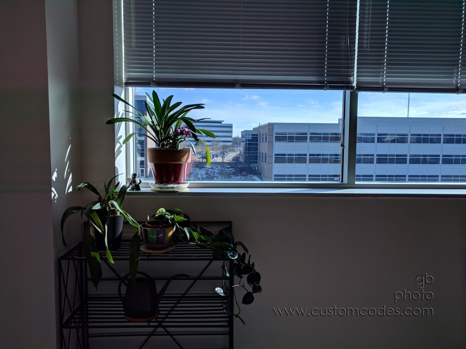 20180406-OfficeView