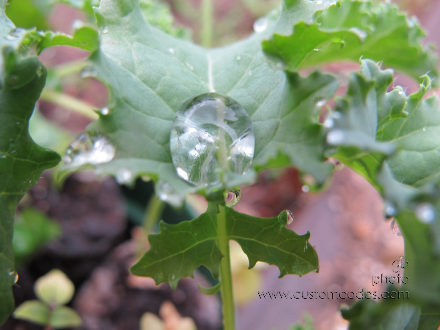 Droplet_20180504