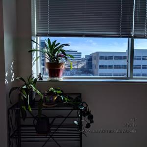 20180406-OfficeView