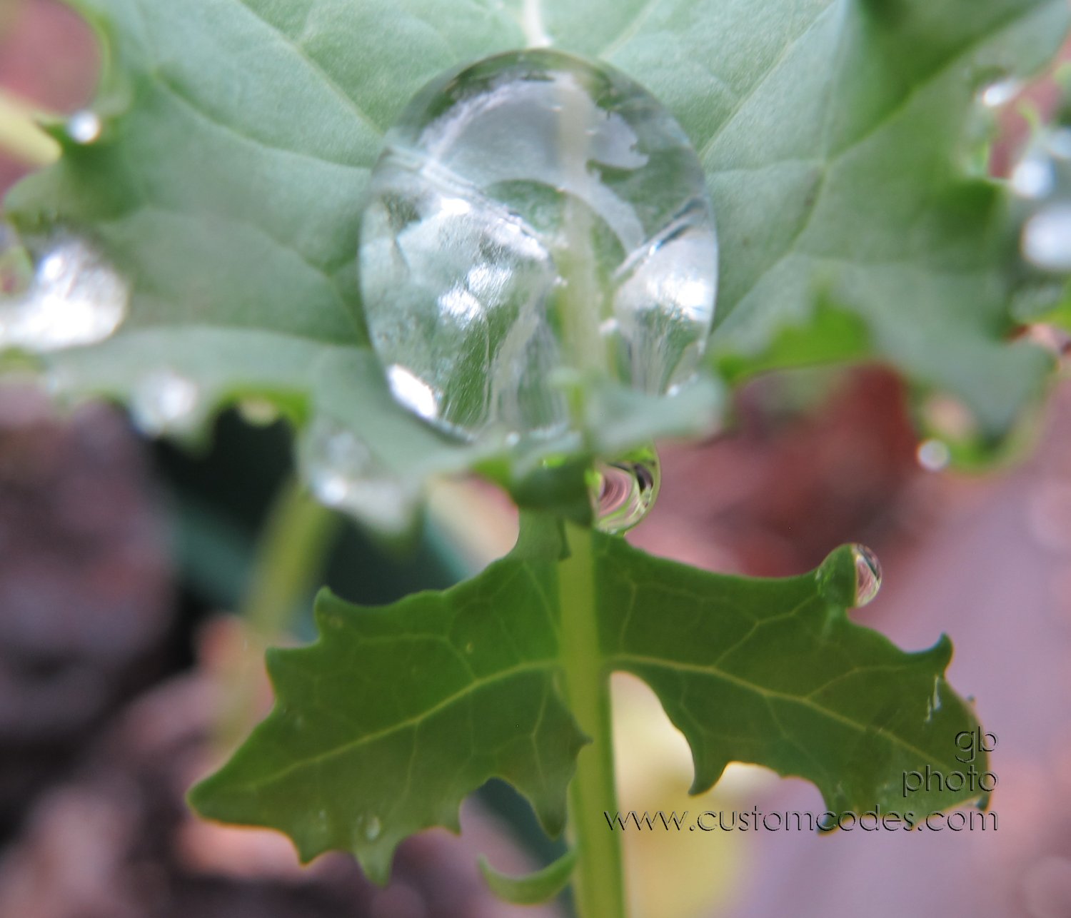 droplets_20180507