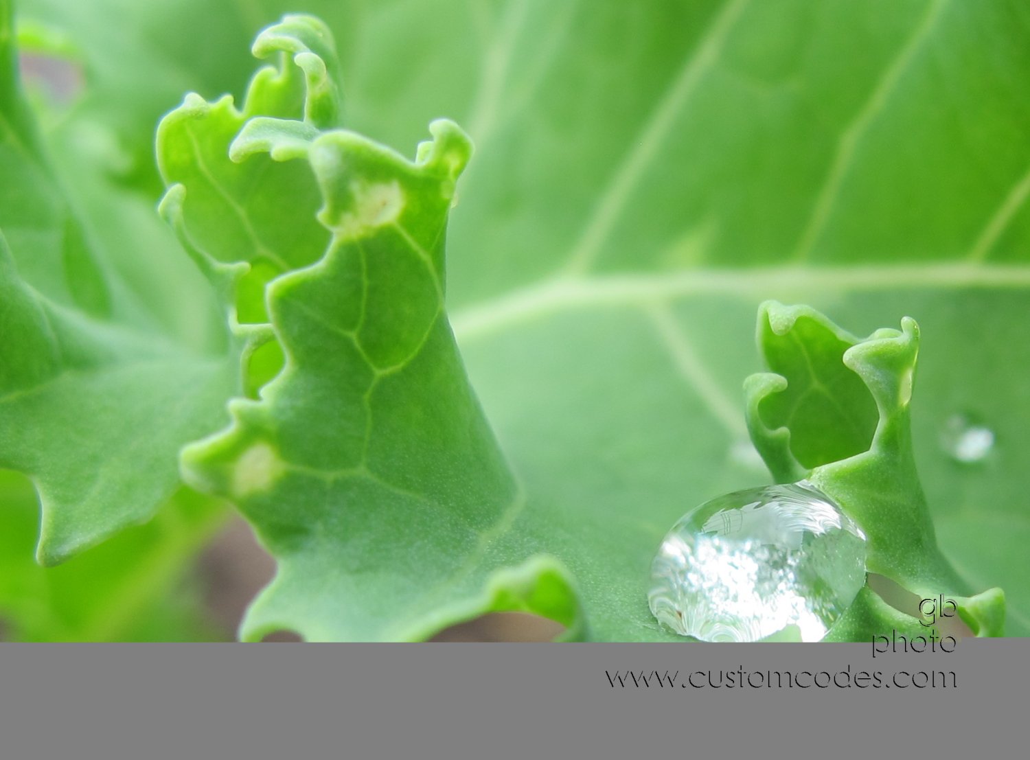 droplets_20180520