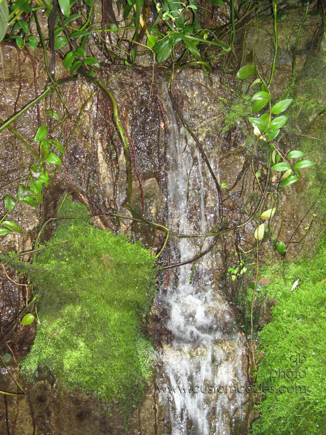 olbrich_garden_waterfall