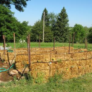 StrawBales20100529