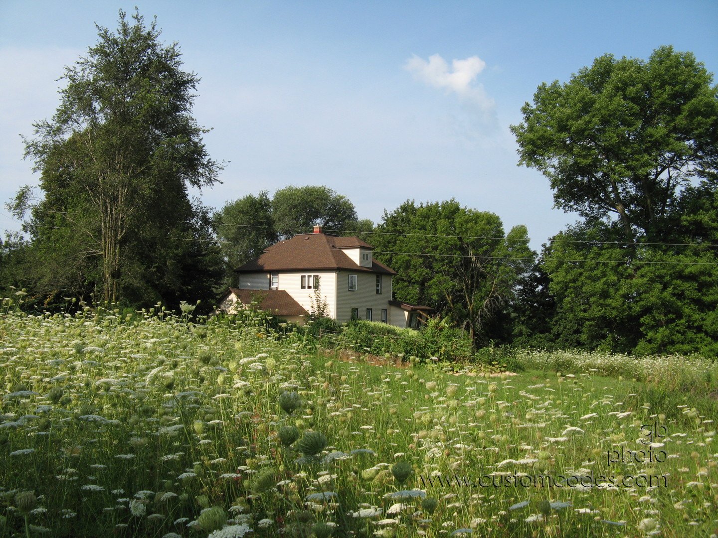 2010_08_07_HouseFrom NE