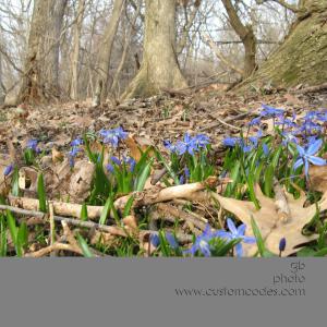 blue20100331