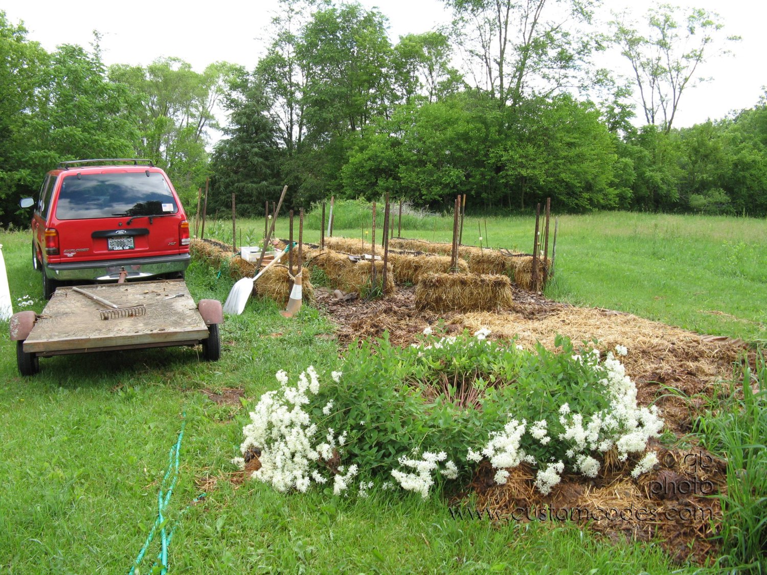 mulched