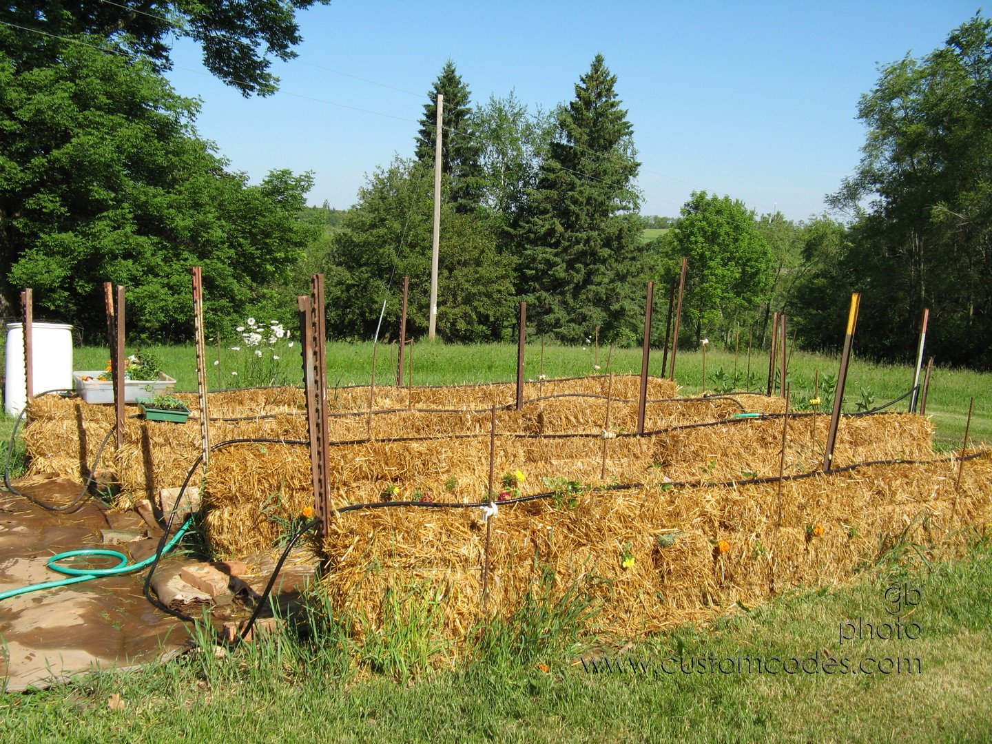 StrawBales20100529