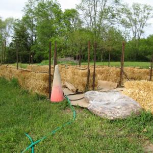 strawBaleGardening