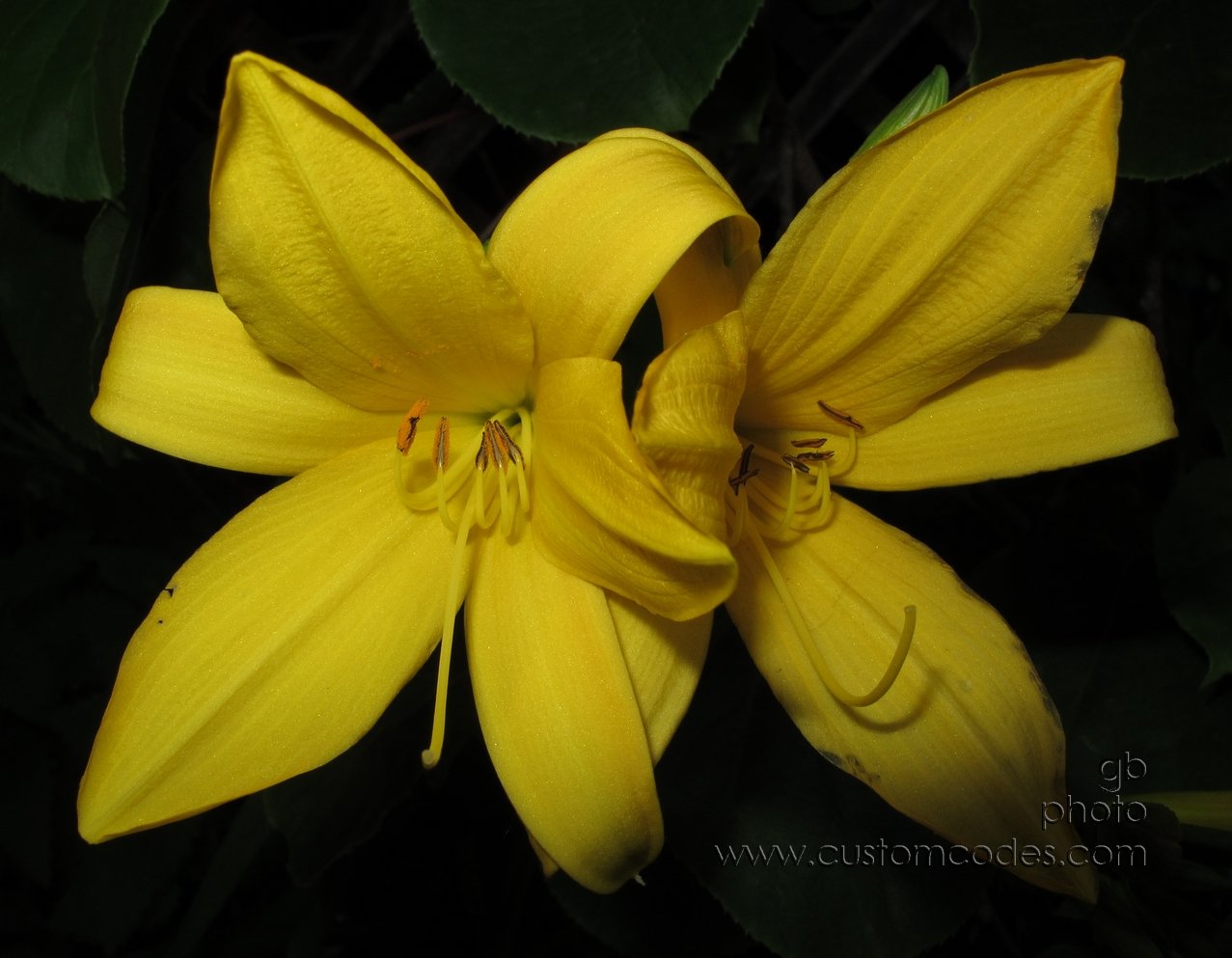 perfectlyImperfect_20120512_2.