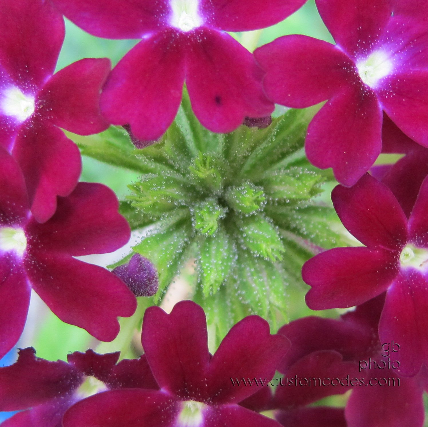 inTheMiddle_20120721