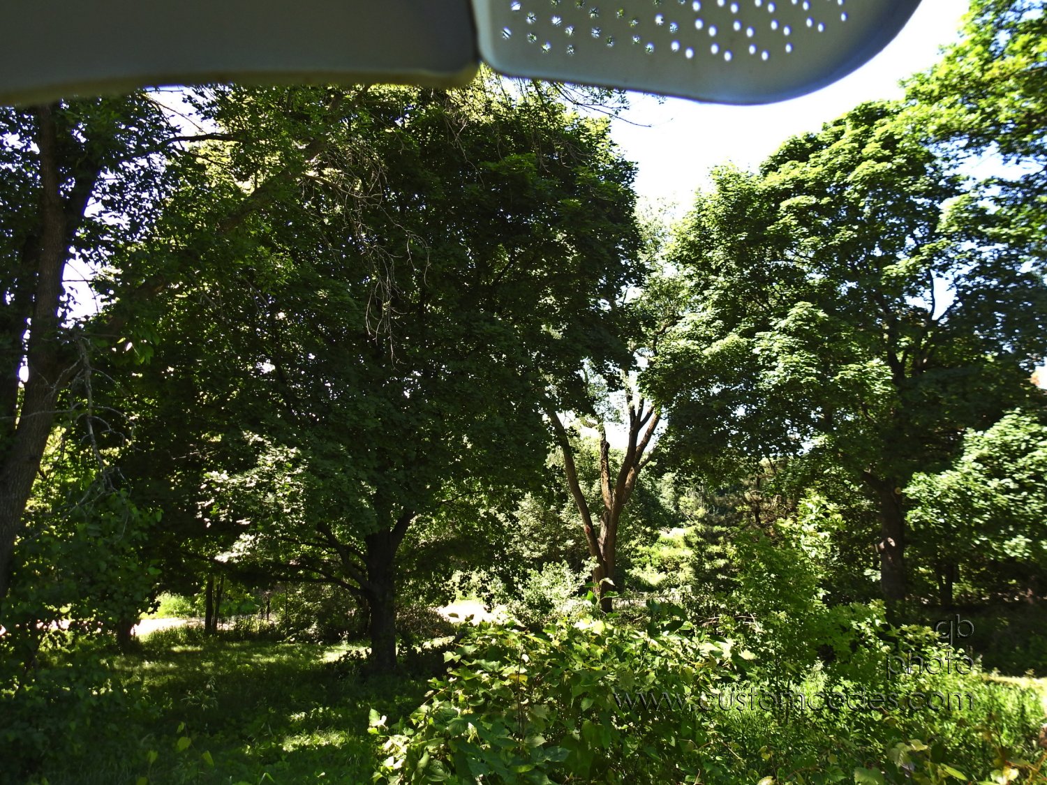 DishView_20180613