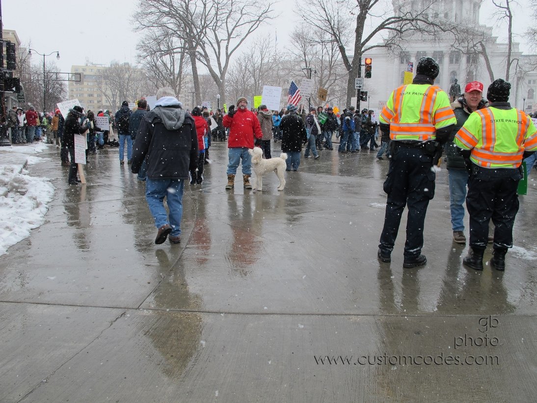 MadisonRally_20110226_02