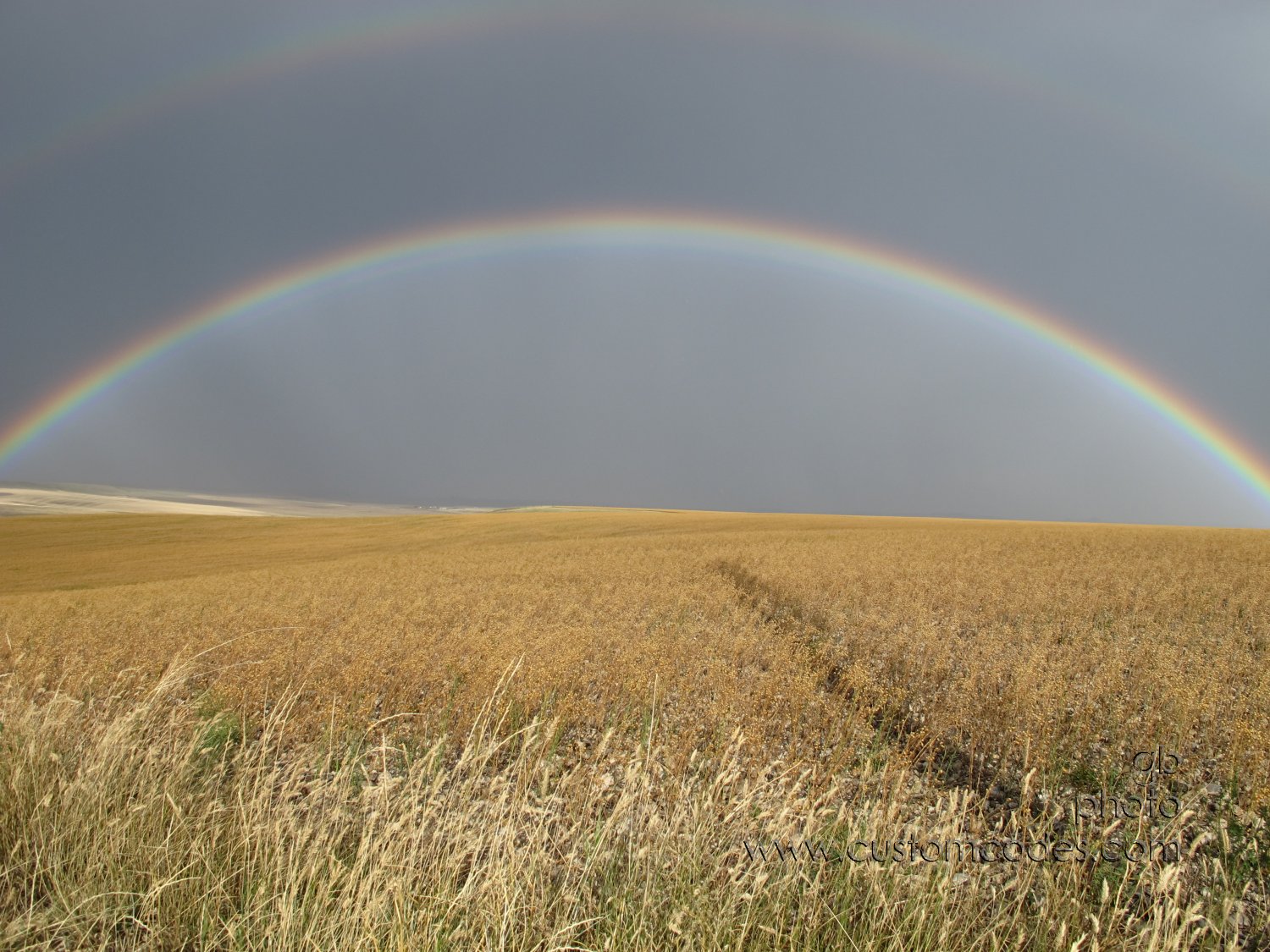 Rainbow_20140923