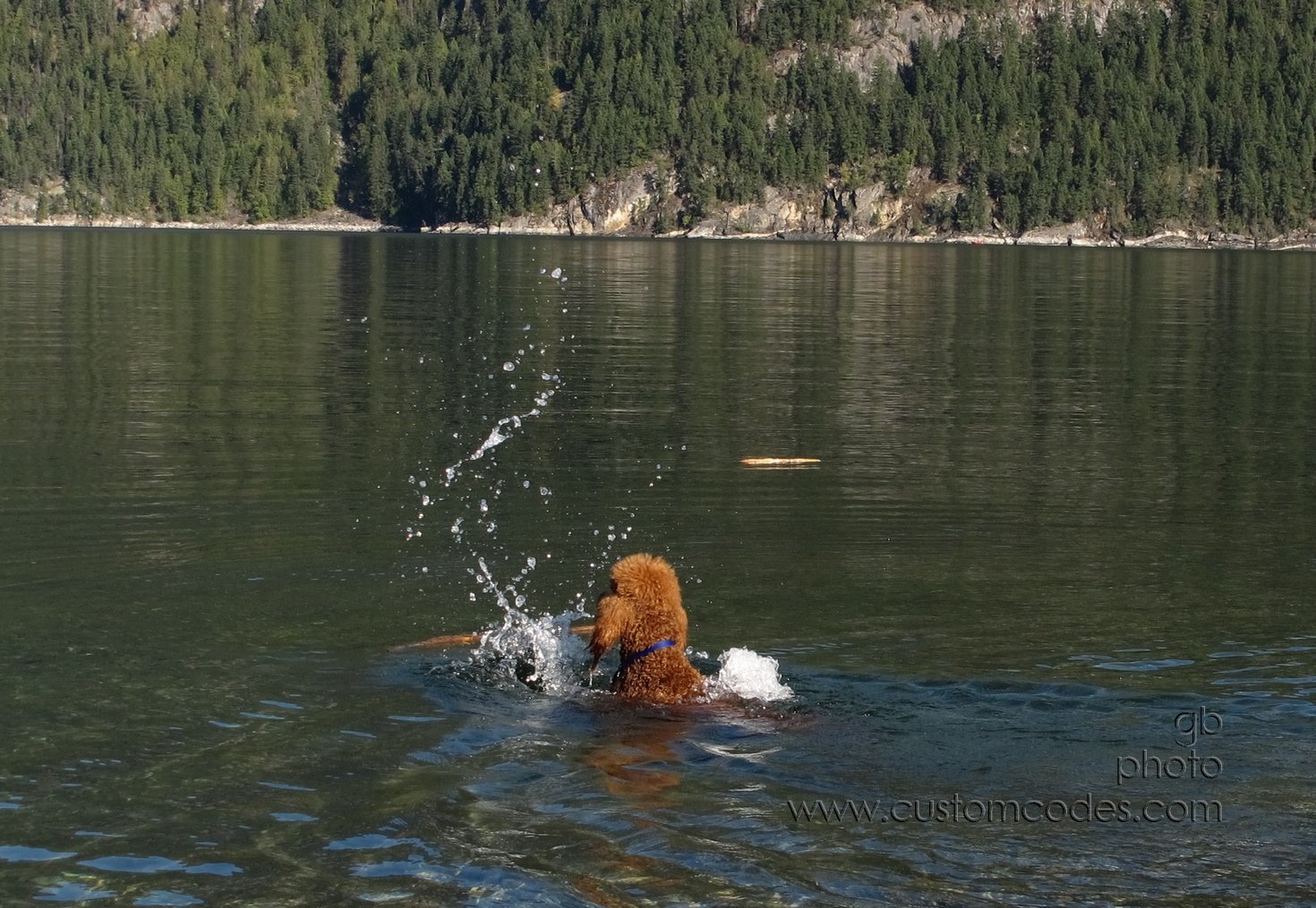 CiCochSwimmingKaslo