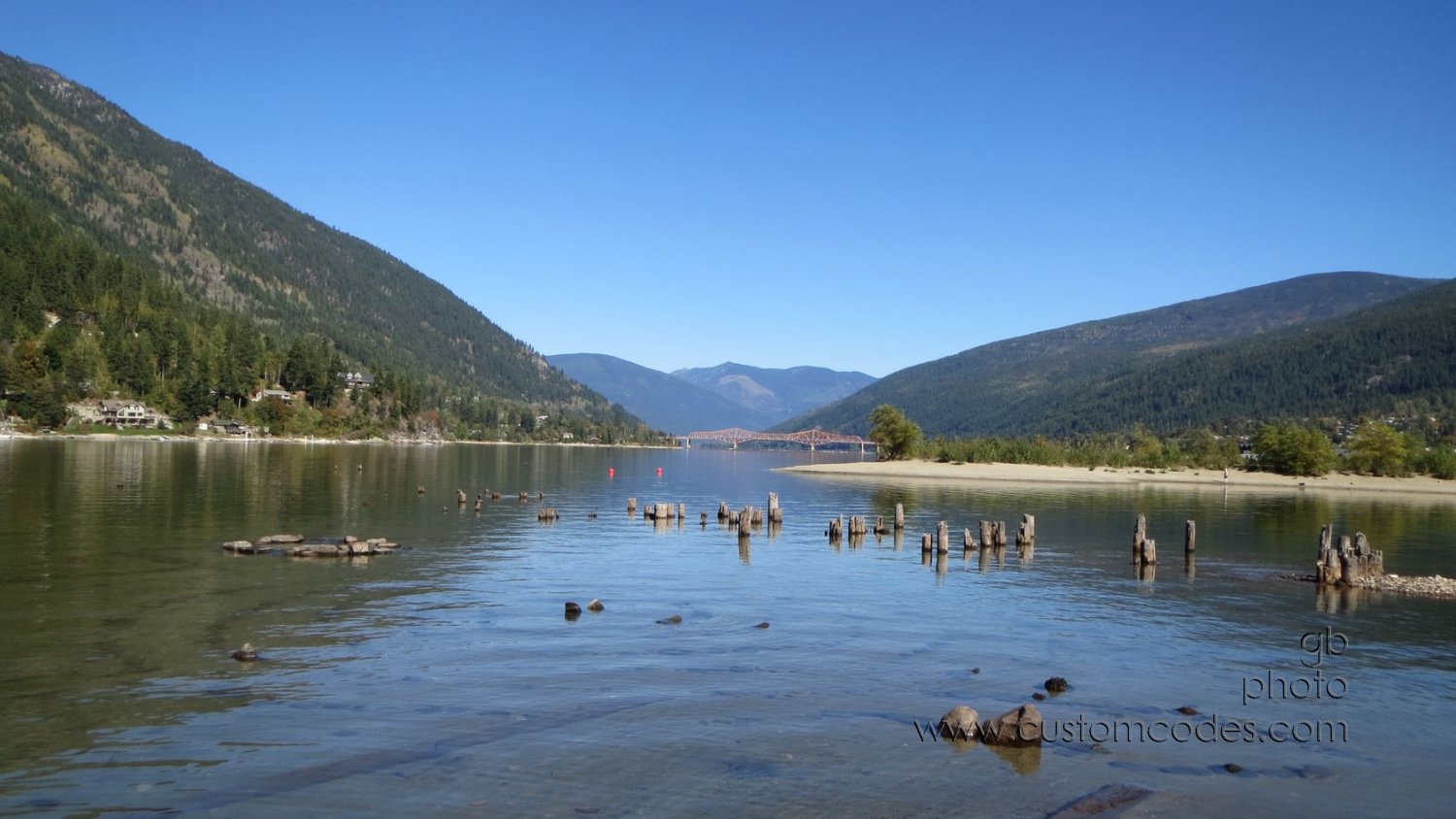 Nelson-20150928