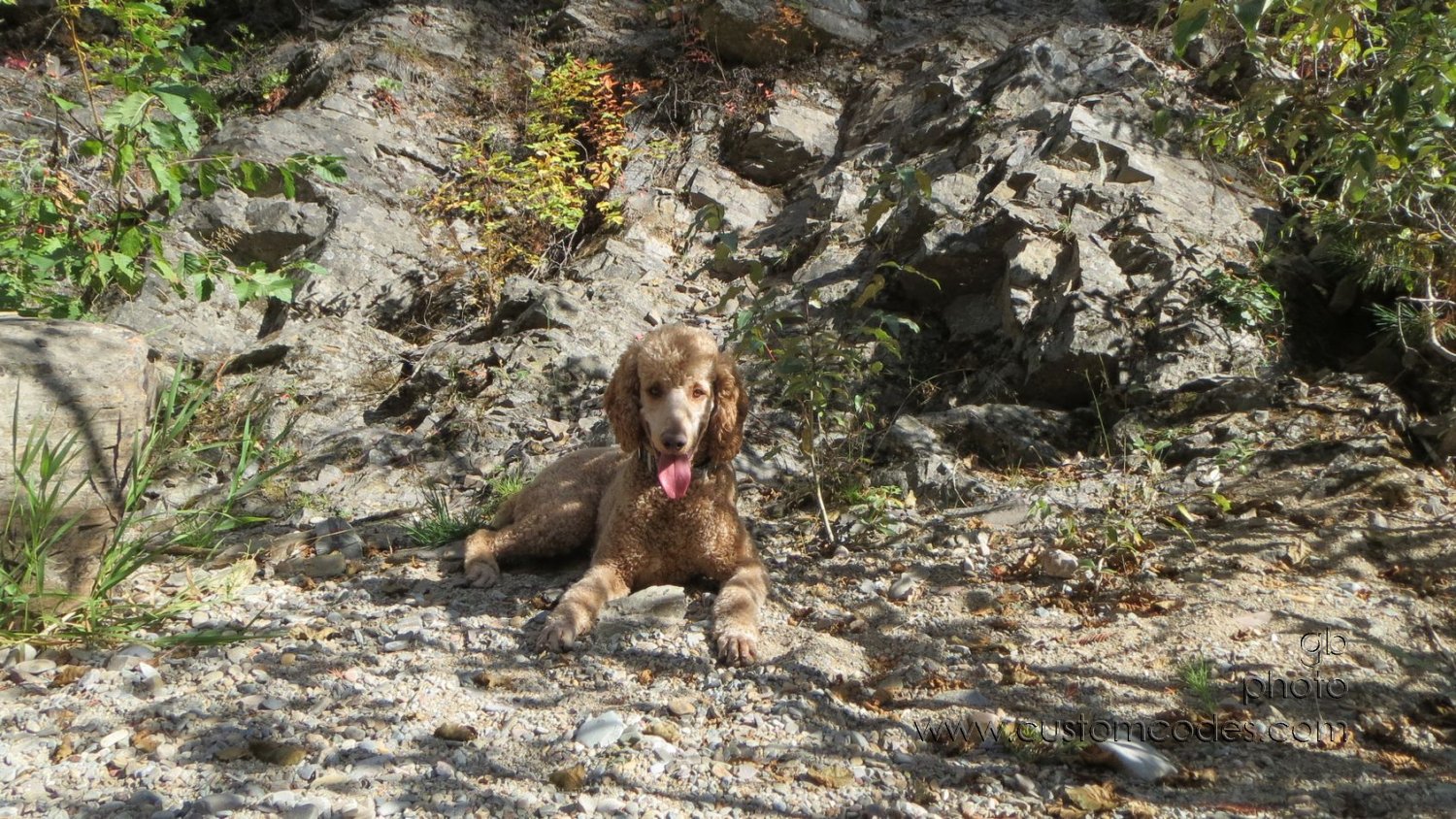 CiCochAtLibbyCreek_20150923