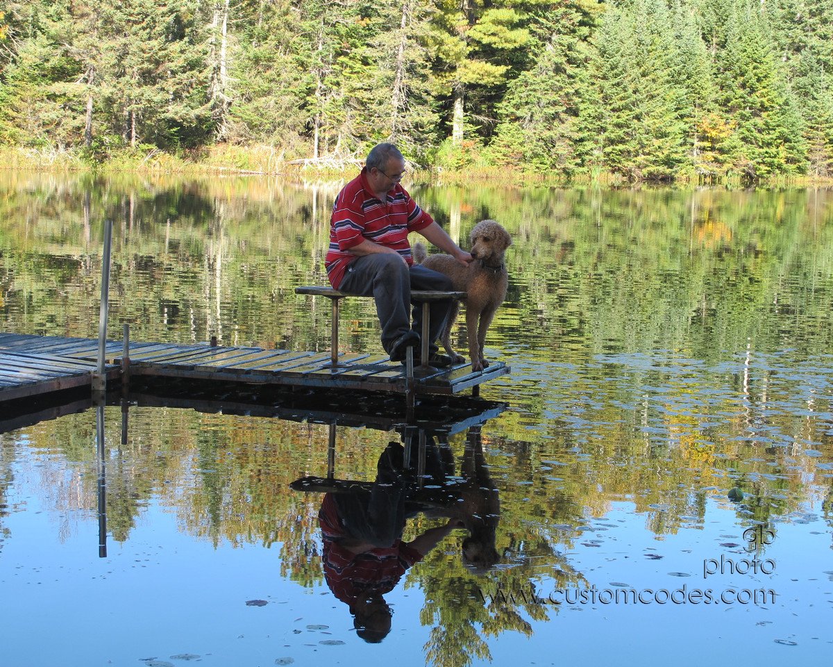 Reflection_20161002