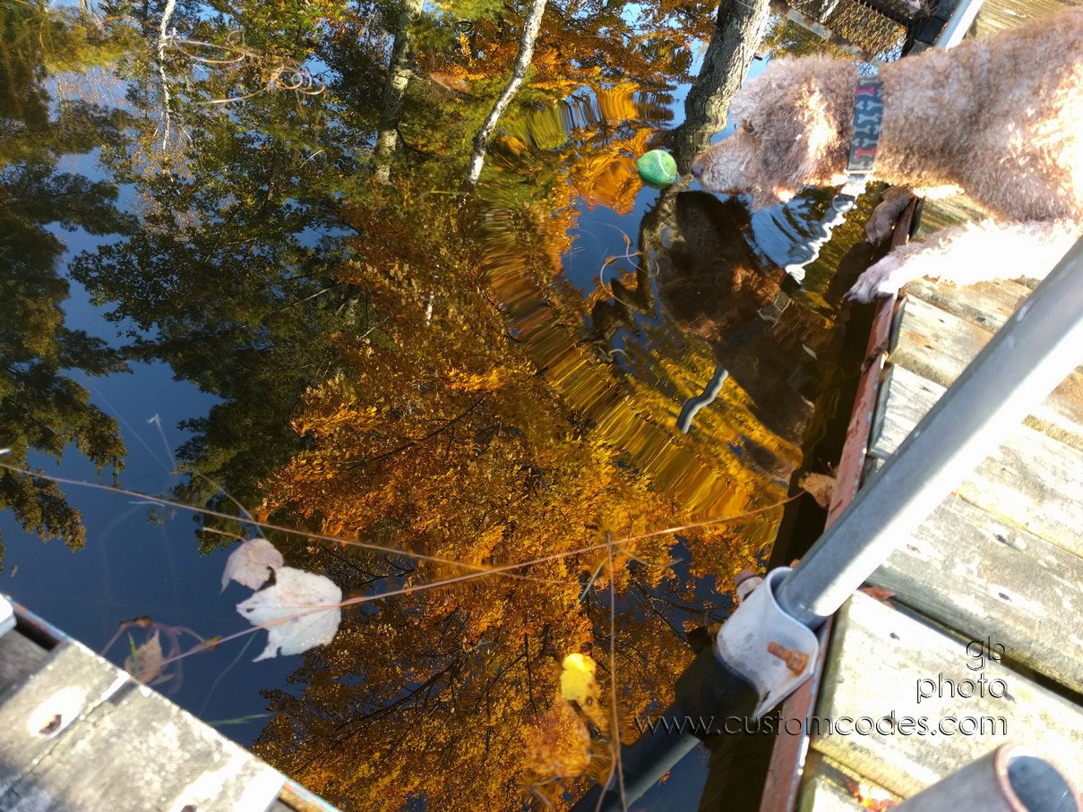 Ripples_20161005