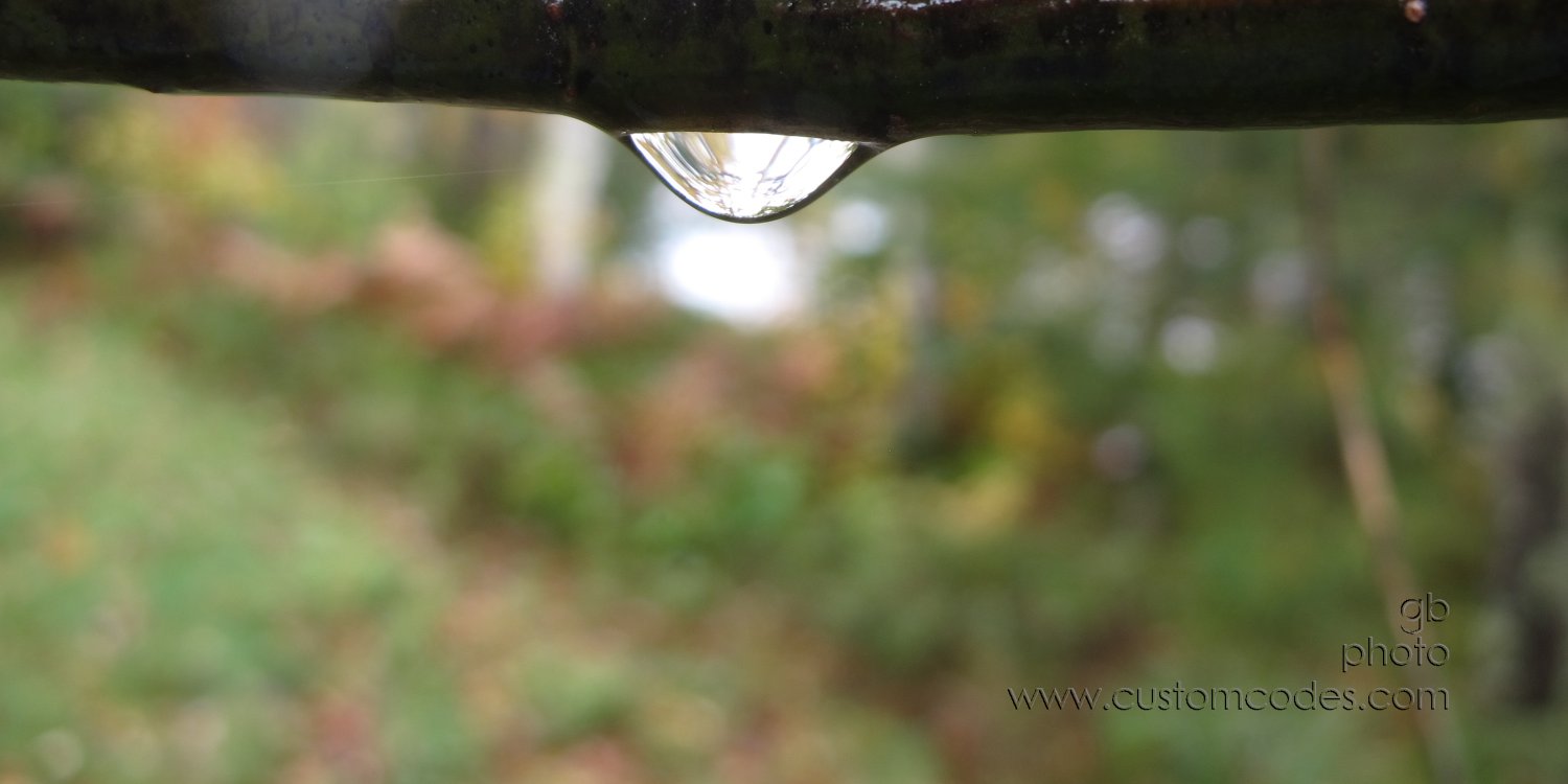 drip_20161005
