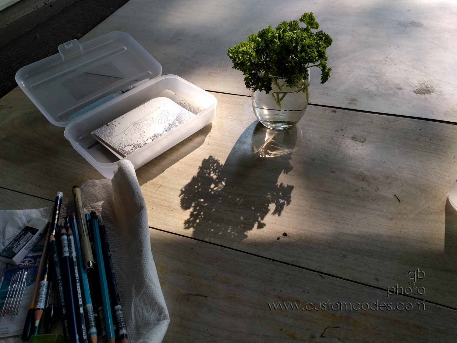 20170901_parsley