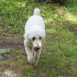 Elwood_202107