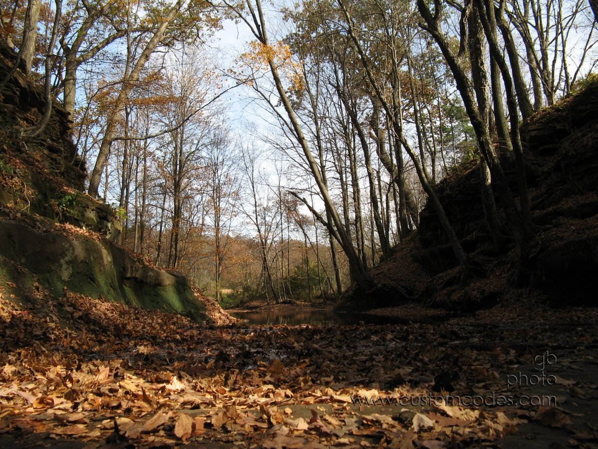 lookingUpstreamAtTheTop