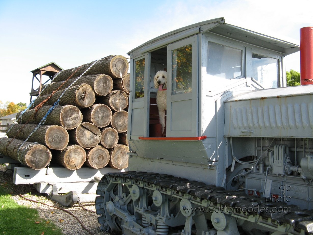 ElwoodOnLogHauler