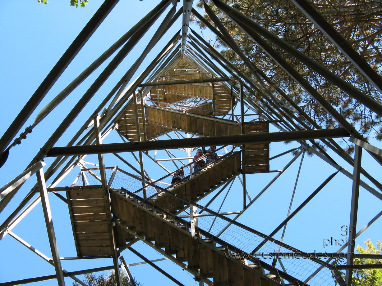 MountainWIFireTowerLookingUp2