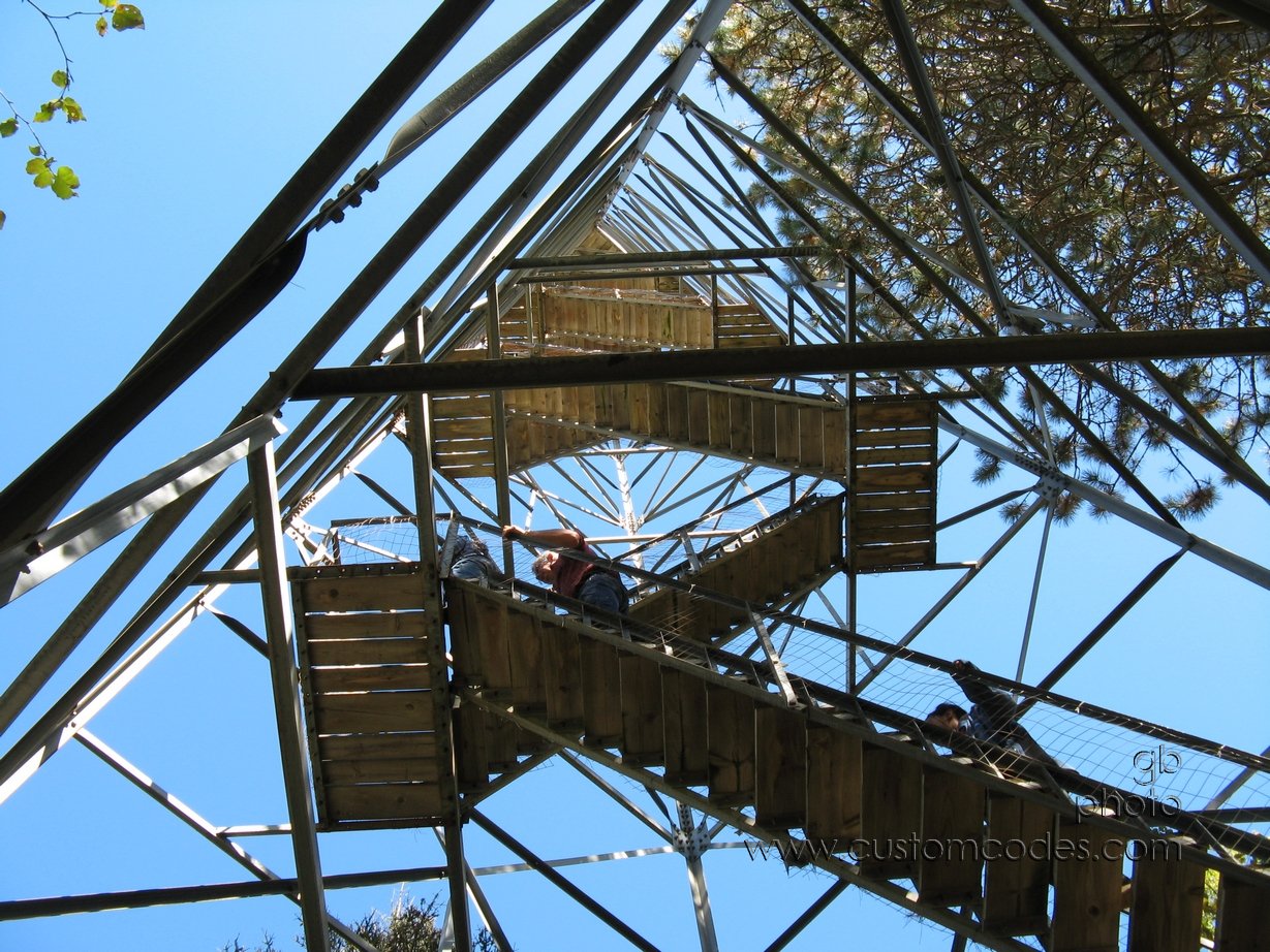 MountainWIFireTowerLookingUp