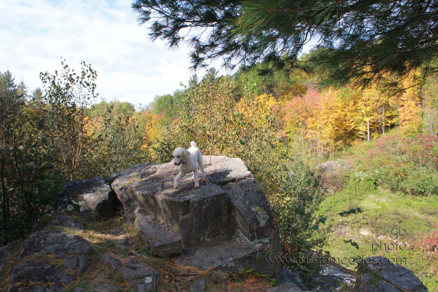 ElwoodOnRockAtPrairieDell