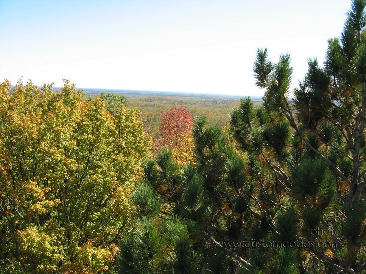 MountainWIFireTowerTreeTops2