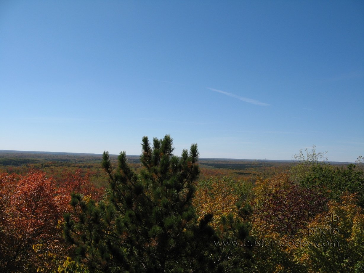 MountainWIFireTowerTreeTops3