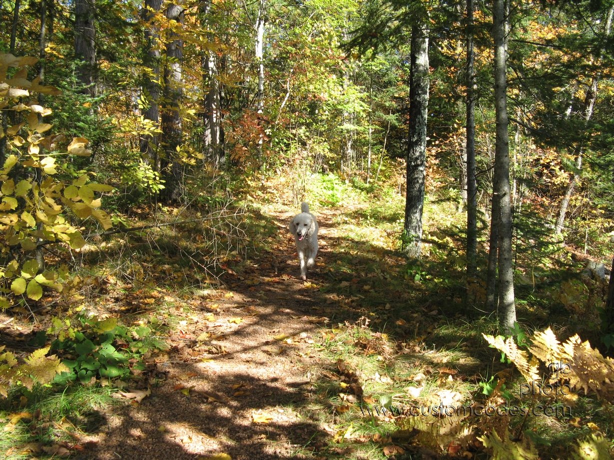 BearLakeElwood