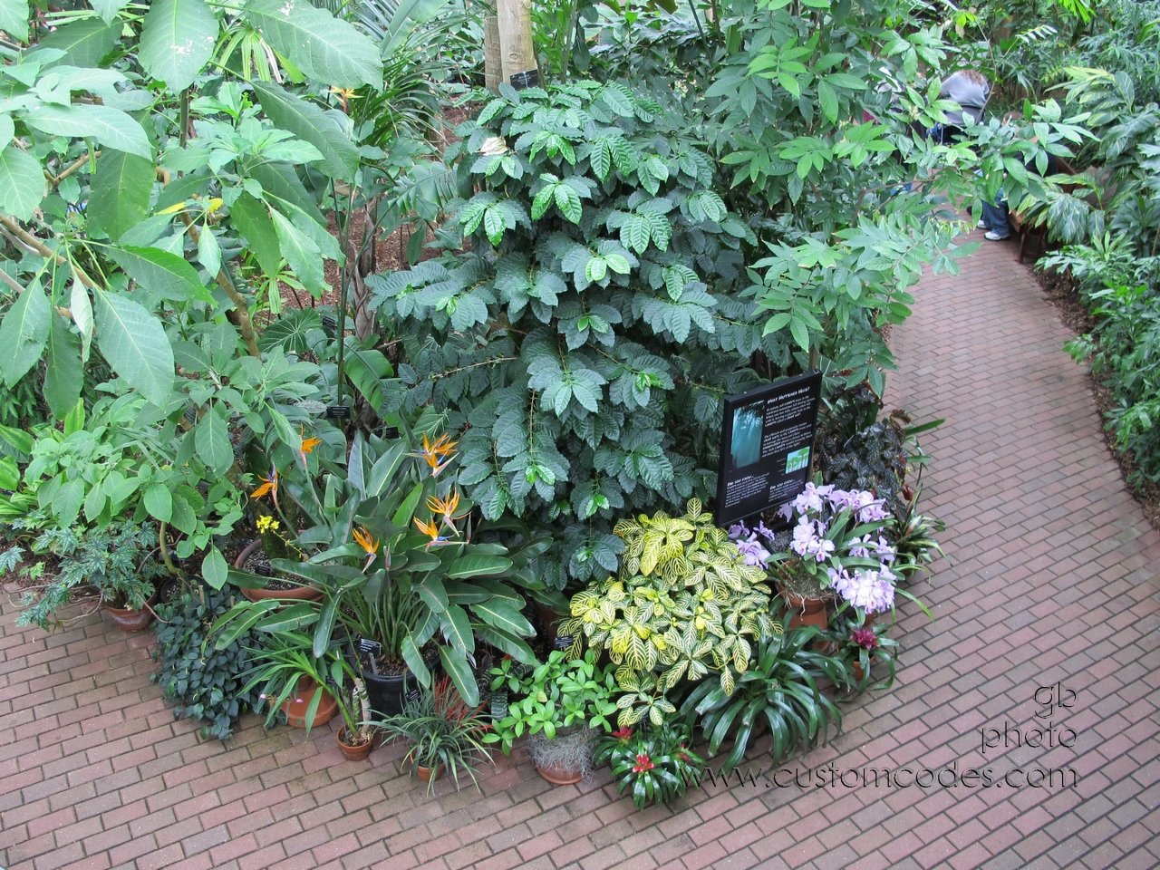 walkway_20110416