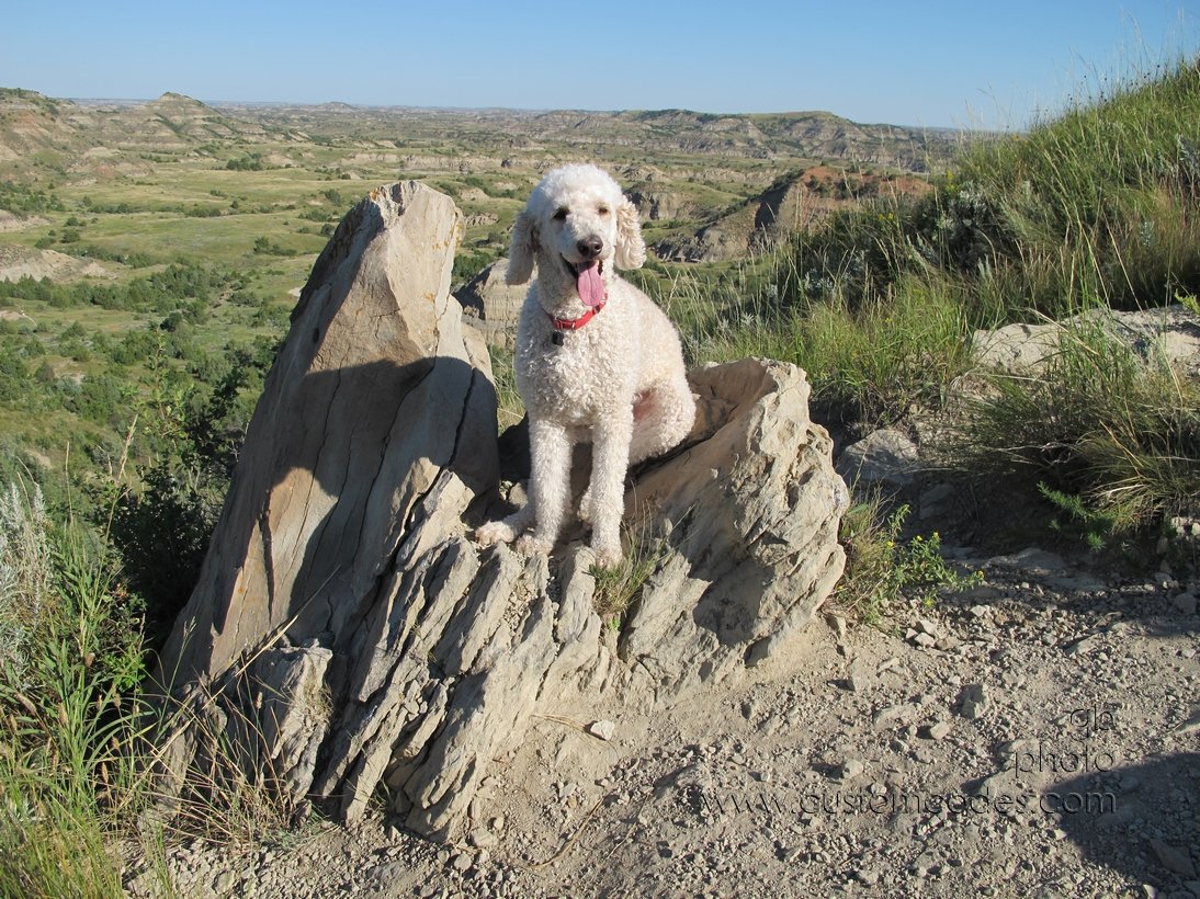 Elwood_TRGrazingLands_20110821