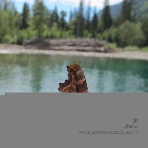 Glacier_ButterflyOnFinger2
