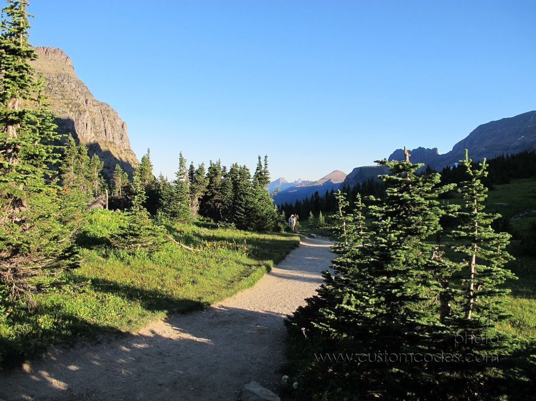 GlacierHighLineTrail_20110828