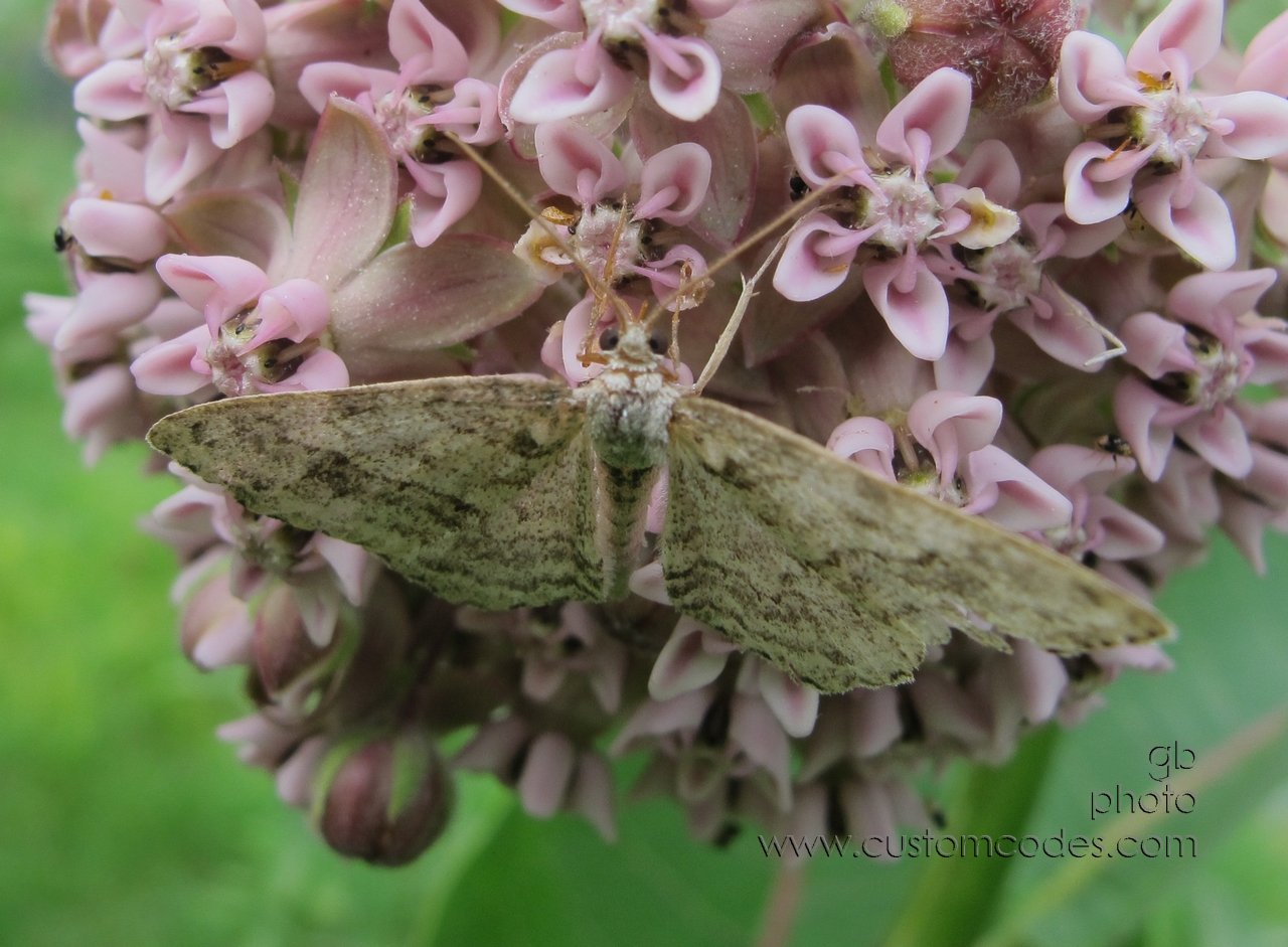 snackTime_20120616_2