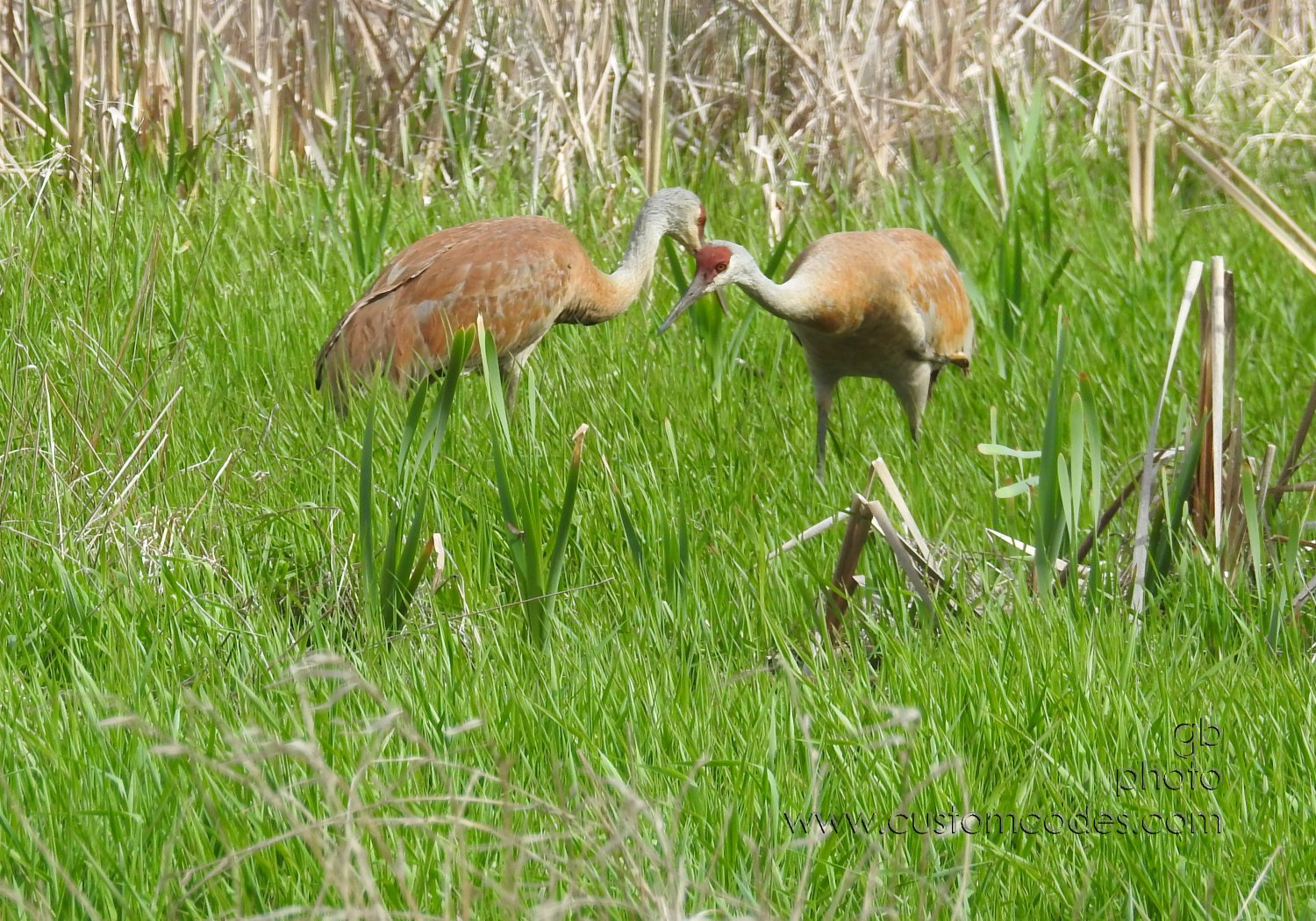 Sandhills-SharingSecrets_20190519