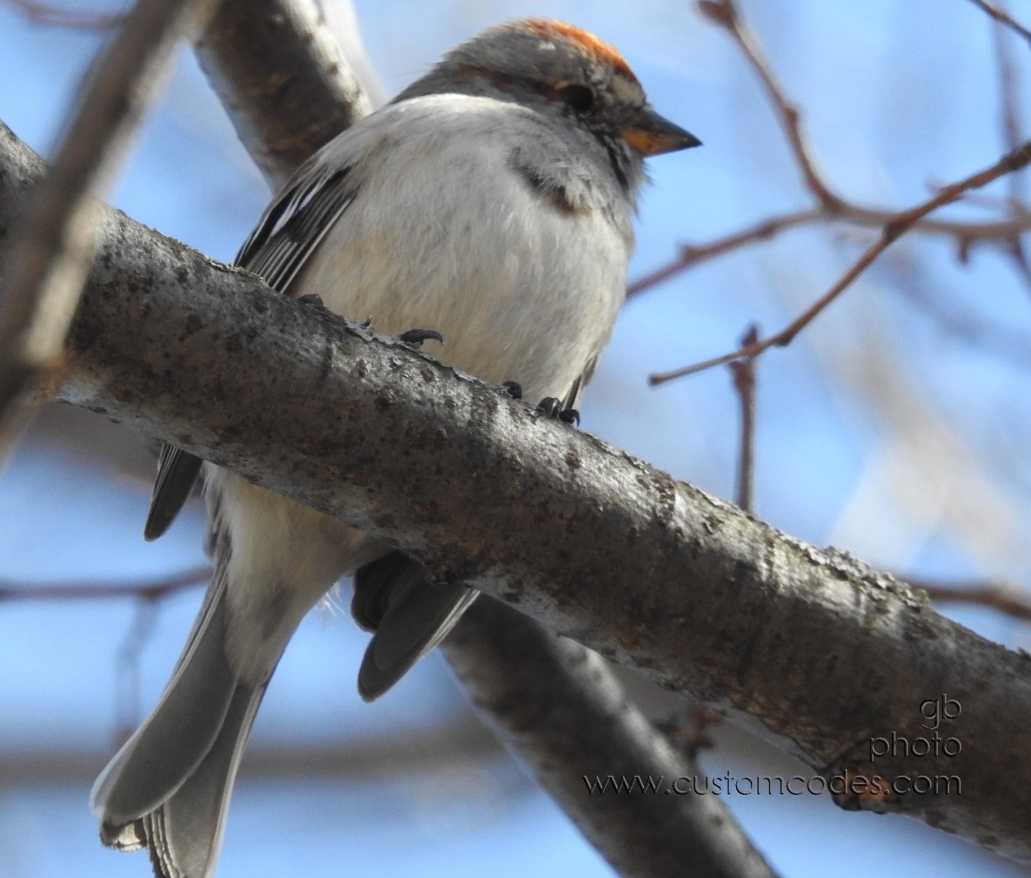 mystery_20190323