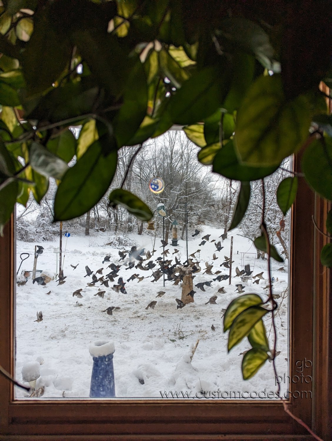 Surprised_20221216