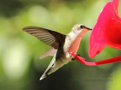 takeOff_2010_0912_cr