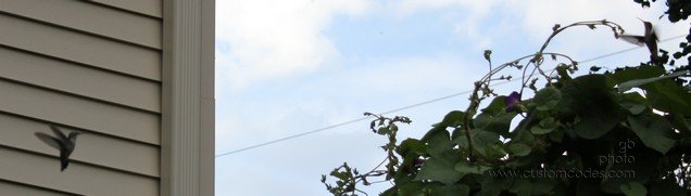Image00002