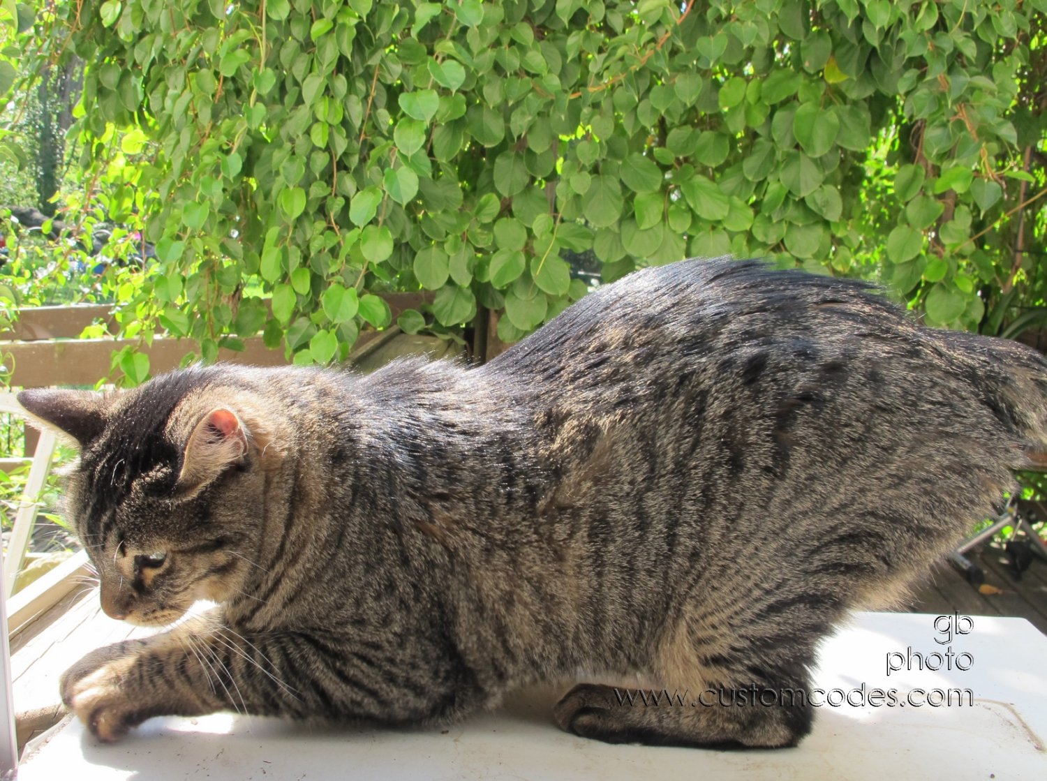 Max_20120915