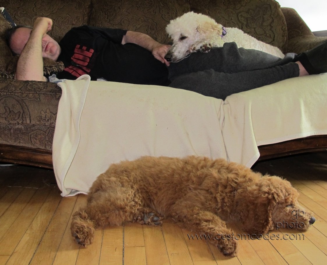 Family_20140531